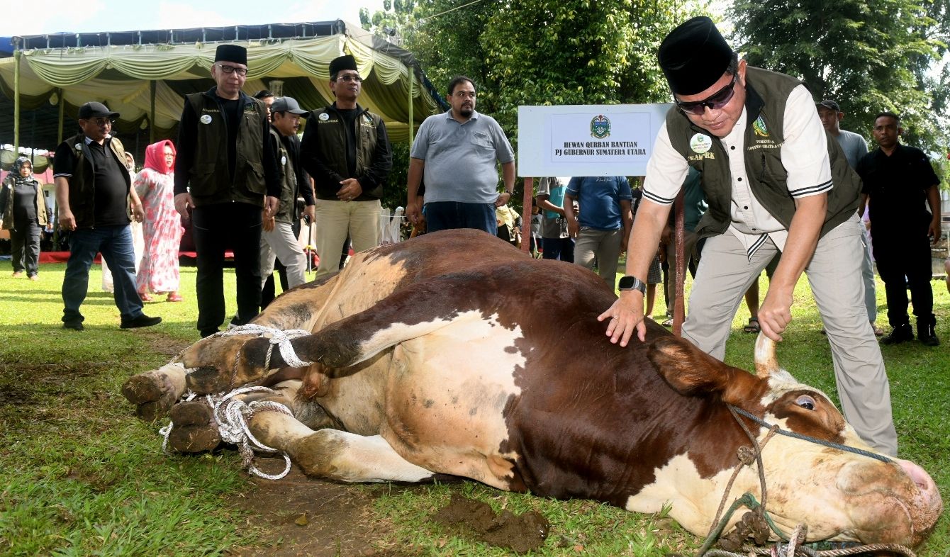 Pj Gubernur Sumut Hassanudin bersama Sekda Sumut Arief S Trinugroho saksikan penyembelihan hewan kurban di UPT Mekanisasi Pertanian Sumut