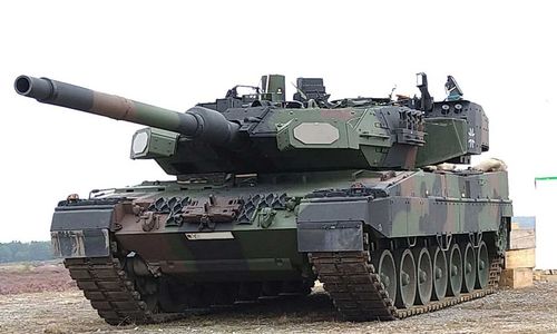 leopard jerman.jpg