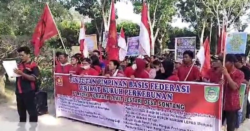 Ratusan buruh yang tergabung dalam F.Serbundo aksi damai di halaman kantor kebun PT APSL di Desa Sontang
