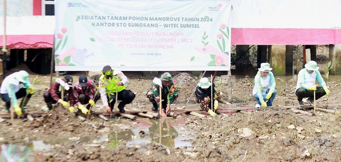 Jaga keseimbangan ekosistem darat dan pesisir, Telkom tanam 200 bibit mangrove di wilayah kantor STO Sungsang
