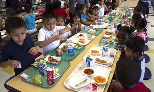 Ilustrasi anak SD makan di sekolah.