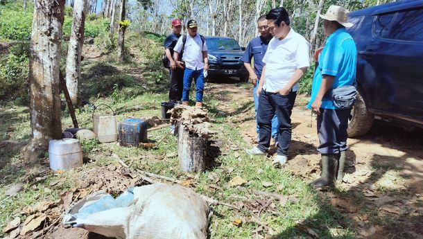 Akselerasi Kinerja, PTPN I Regional 7 Fokus Manajemen Tanaman Karet