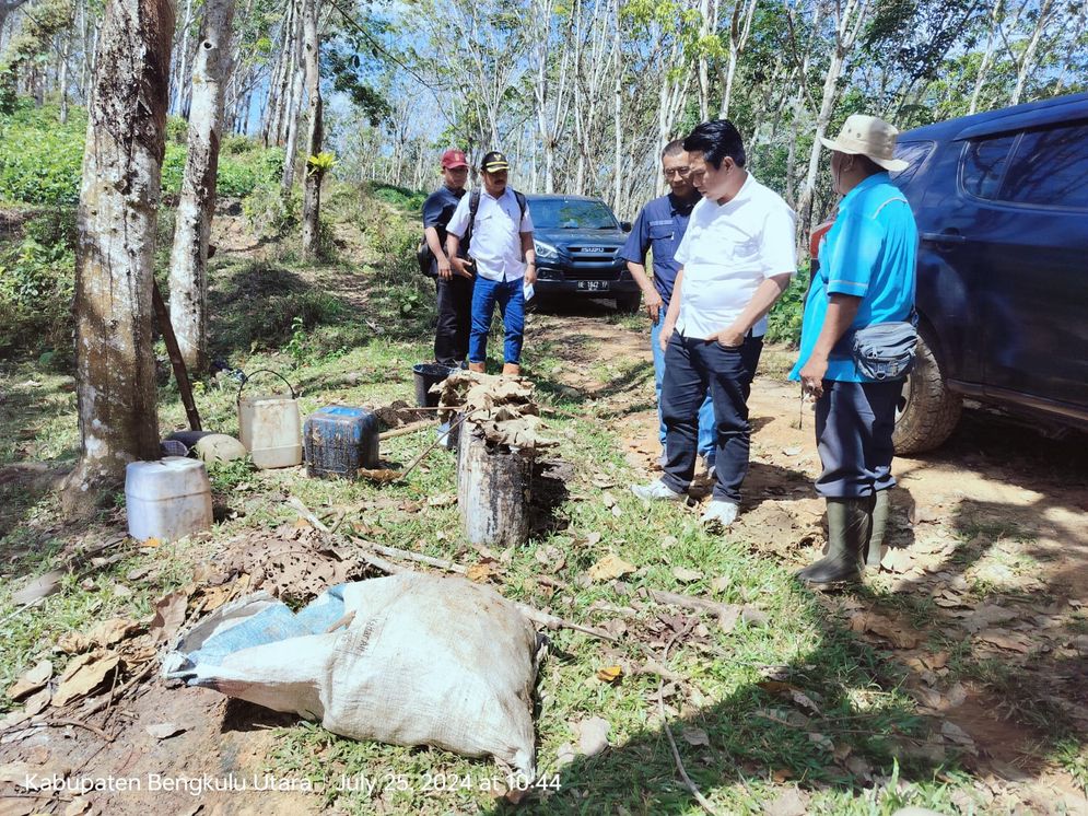 Akselerasi Kinerja, PTPN I Regional 7 Fokus Manajemen Tanaman Karet