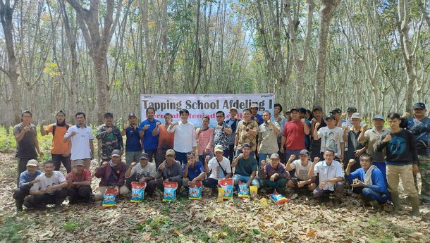 Kebun Bergen Kejar Produksi Gelar Latihan Sadap