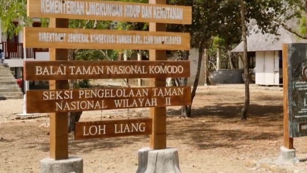 Pemkab  Mabar Buka Suara Respon Wacana Penutupan Taman Nasional Komodo Tahun Depan