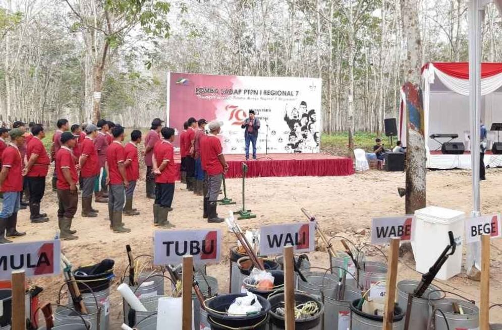 Adu tangkas menyadap karet diadakan PTPN I Regional 7 di Kebun Kedaton, Kamis (15/8/2024).