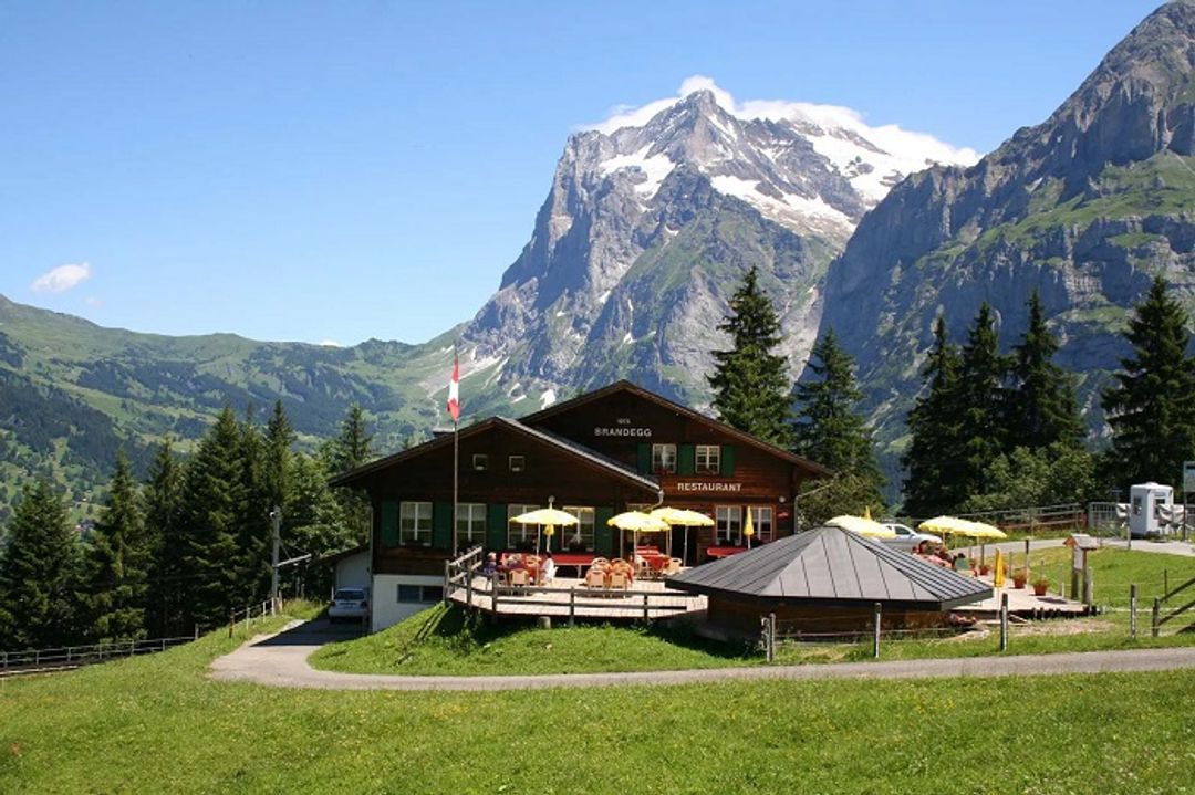 Swiss.