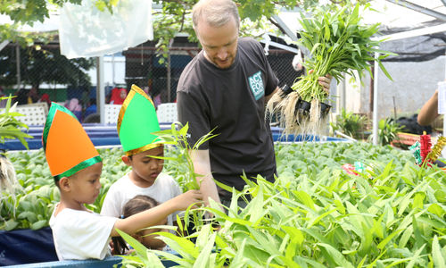 Managing Director of Bosch in Indonesia Pirmin Riegger memanen kangkung bersama anak-anak disela penyerahan donasi  untuk Program Asah Asih Asuh di PAUD Kenanga 7, Jakarta Barat, Kamis 15 Agustus 2024. Foto : Panji Asmoro/TrenAsia
