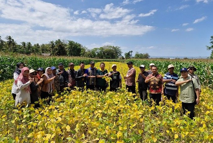 Terapkan Saekedelai, UGM Bantu Tingkatkan Produktivitas Kedelai di Boyolali