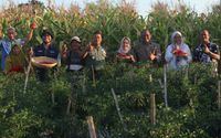 petani2.jpg