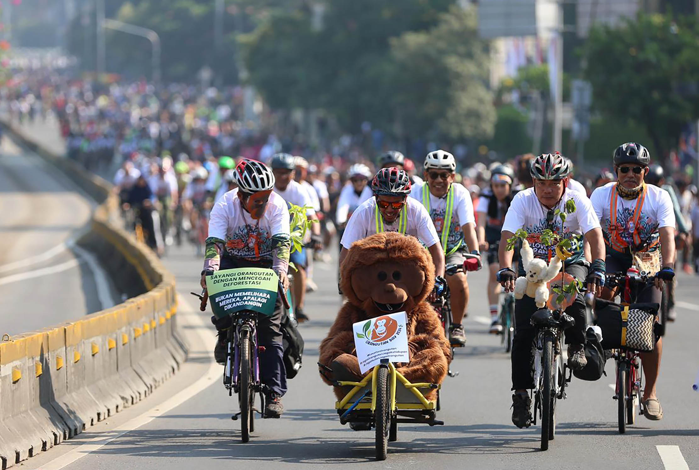 Dalam rangka memperingati Hari Orangutan Sedunia sejumlah komunitas menggelar kampanye bersama 150 pesepeda dengan tema Bike For yOU di kawasan Car Free Day Jakarta,Minggu 25 Agustus 2024. Foto : Panji Asmoro/TrenAsia