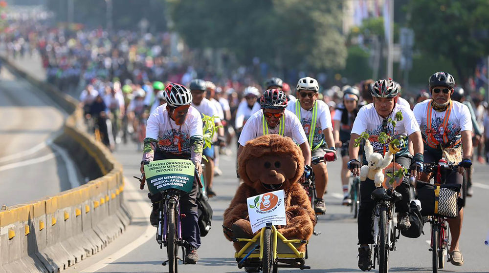 Aksi Peringati Hari Orangutan - Panji 1.jpg