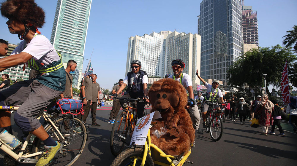 Aksi Peringati Hari Orangutan - Panji 3.jpg