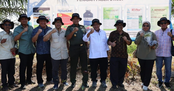 ABI dan Mitra Evaluasi Teknologi Budidaya Padi di Lahan Sulfat Masam PPU