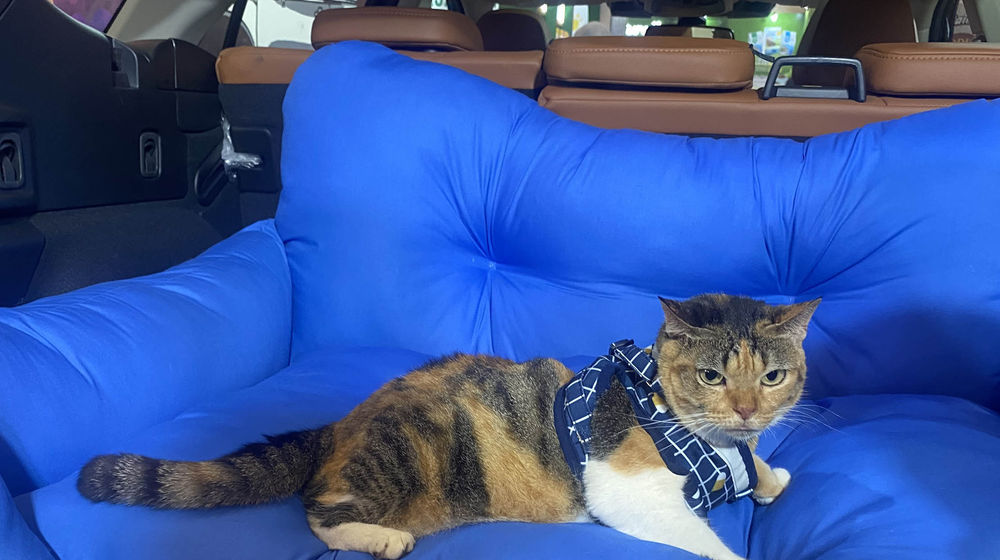 Subaru Peduli Hewan - Panji 5.jpg