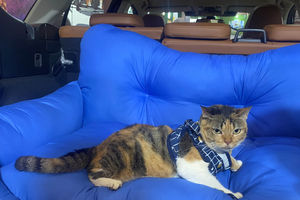 Subaru Peduli Hewan - Panji 5.jpg