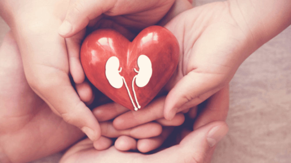 Ilusrtrasi sayangi ginjal.