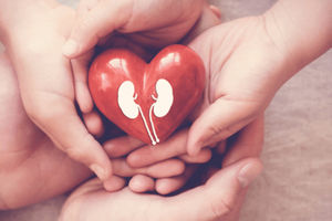 Ilusrtrasi sayangi ginjal.