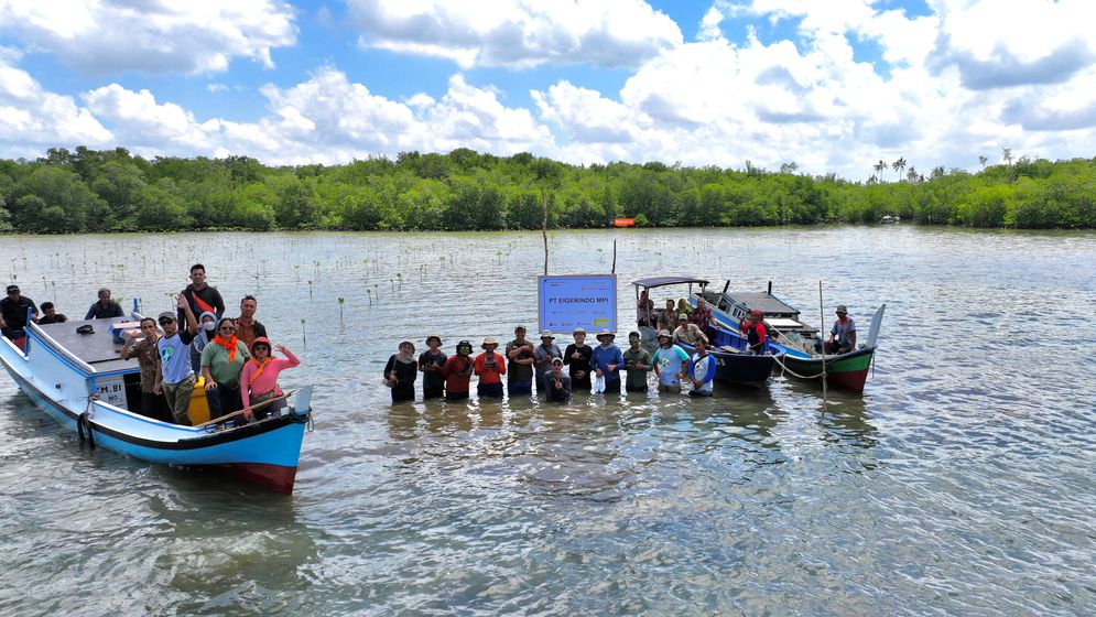 Komitmen EIGER Adventure Lestarikan Mangrove, Tanam 10.000 Bibit di Belitung