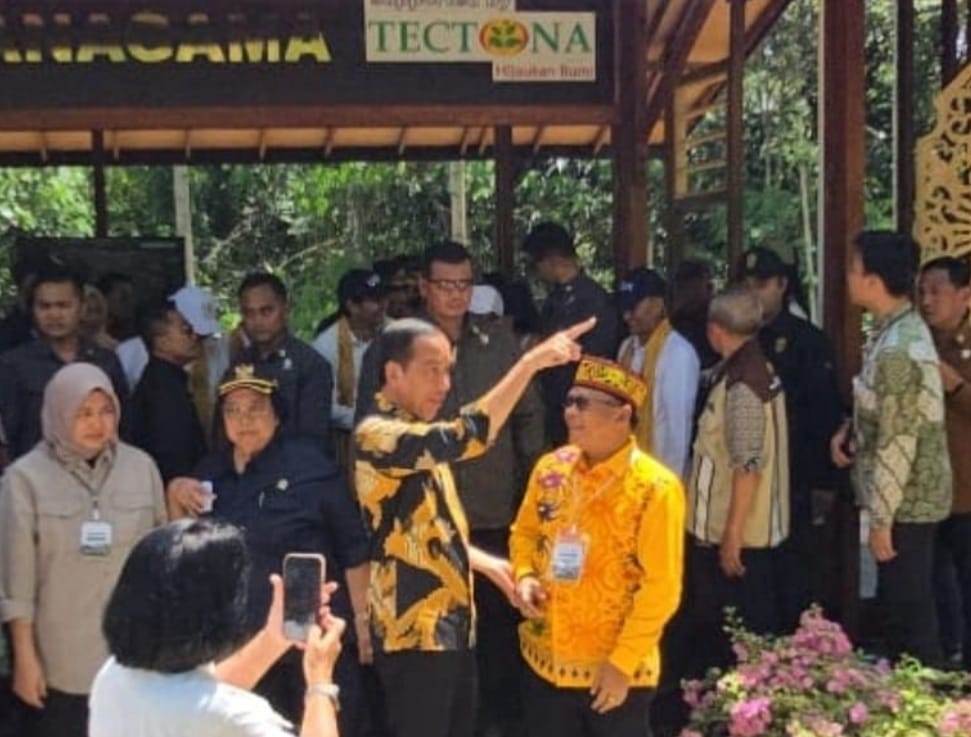 Presiden Jokowi di IKN