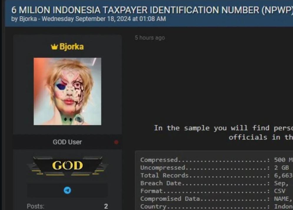 6 Juta Data NPWP Bocor, Berikut Sederet Dampaknya Bagi Masyarakat