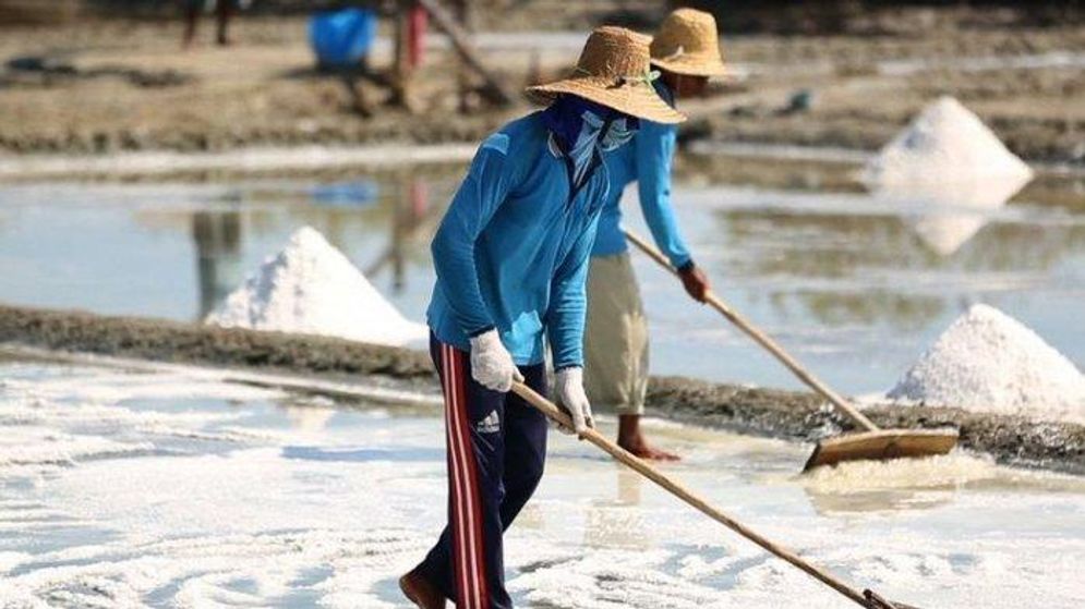 petani-garam-sedang-mengurai-serta-mengeringkan-garam.jpg