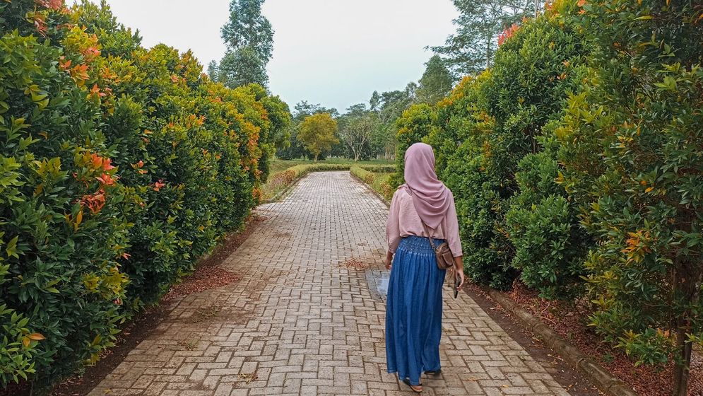 Kece! Kebun Raya ITERA: Destinasi Edukasi, Konservasi, dan Rekreasi Pengunjung Gratis