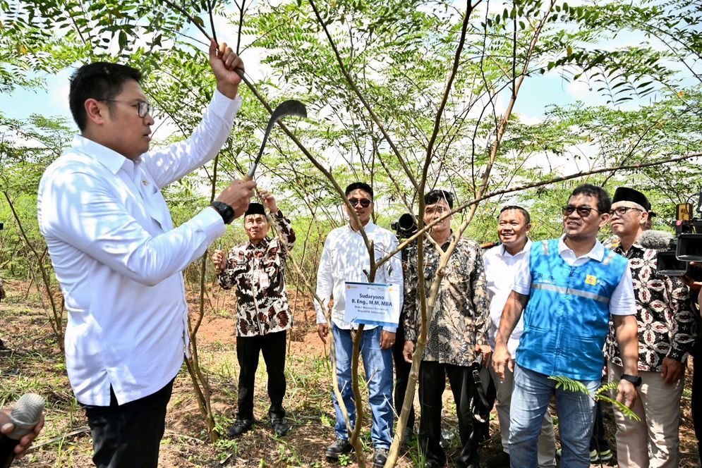 Terus Kembangkan Bahan Co-Firing Biomassa, PLN dan Kementan Luncurkan Model Pertanian Terpadu