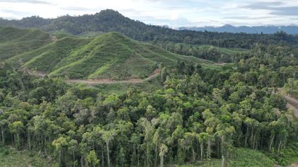 Guru Besar IPB: Hutan Harus Dimanfaatkan untuk Memakmurkan Masyarakat