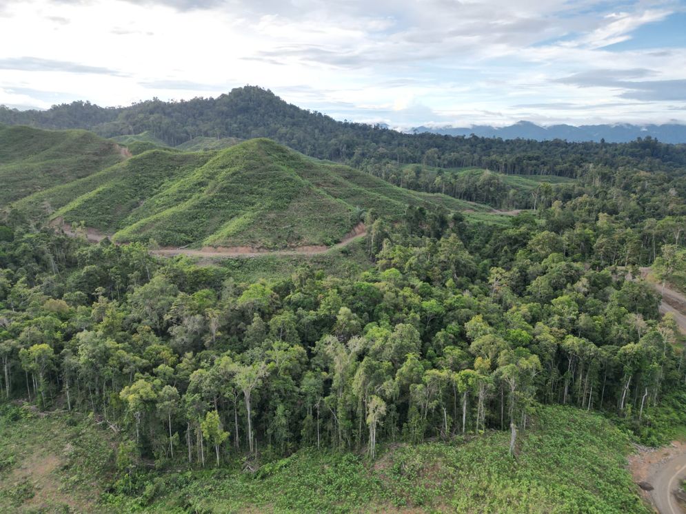 Guru Besar IPB: Hutan Harus Dimanfaatkan untuk Memakmurkan Masyarakat