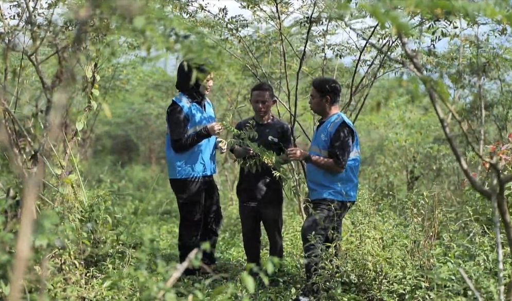 PLN Sulap Lahan Kritis jadi Hijau dan Kembangkan Ekosistem Biomassa Berbasis Pertanian Terpadu