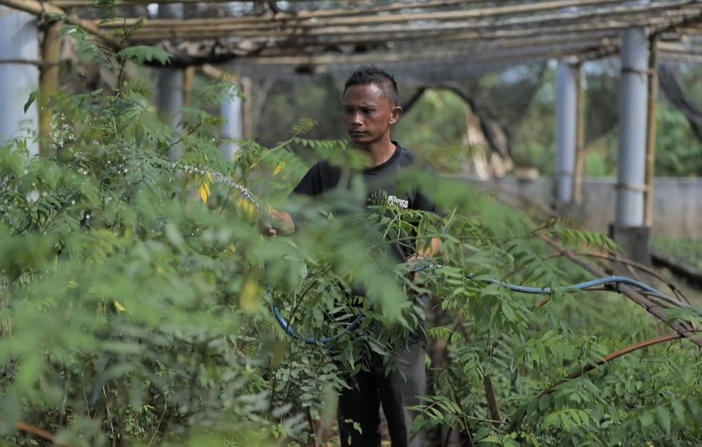 Masyarakat Tasikmalaya Kembangkan Biomassa PLN dengan Dukungan Pemerintah