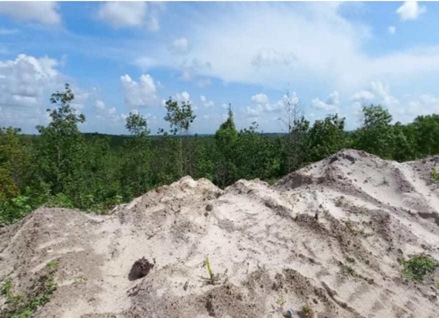 Kawasan Bukit Tengkorak di Desa Suko Mulyo, Sepaku, IKN.