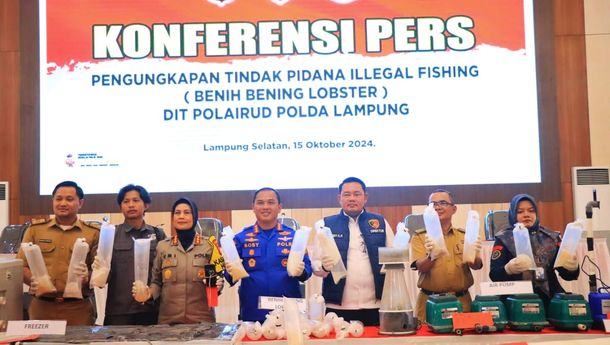 Polda Lampung Gagalkan Penyelundupan 149.400 Ekor Benih Lobster Senilai Rp37,3 Miliar