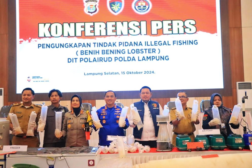 Polda Lampung Gagalkan Penyelundupan 149.400 Ekor Benih Lobster Senilai Rp37,3 Miliar