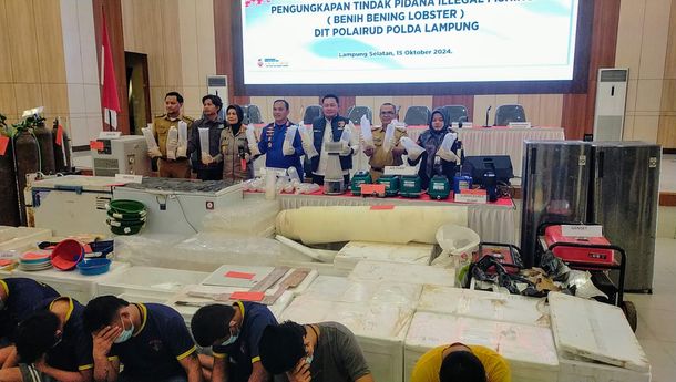 KKP Apresiasi Keberhasilan Polda Lampung Ungkap Penyelundupan Benih Bening Lobster