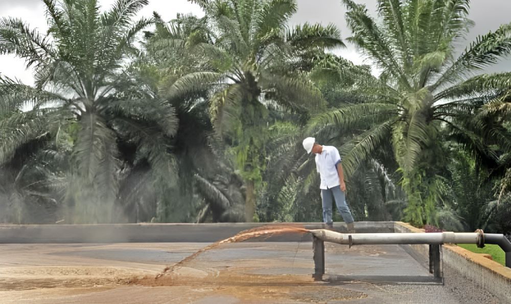 Pemprov  Kaltim mendorong pemanfaatan potensi biometana yang cukup besar di industri kelapa sawit. 