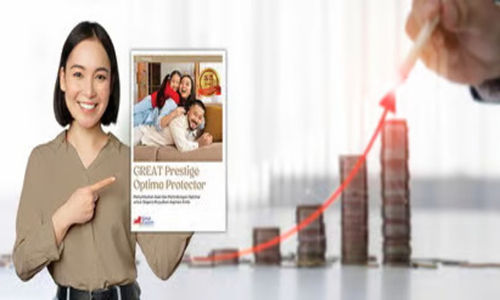 GREAT Prestige Optima Protector.jpg