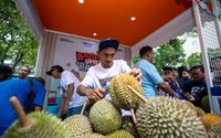 Kelompok Petani Durian di Pekalongan Makin Berkembang Berkat Pemberdayaan BRI