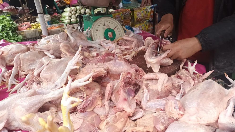 Ilustrasi penjual ayam