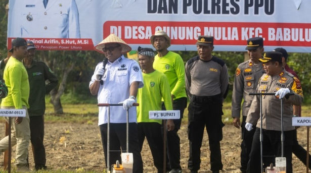 Pemanfaatan Lahan Produktif, Pemkab PPU Tanam Jagung Perdana di Desa Gunung Mulia 