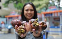 Program Pemberdayaan BRI Dorong Klaster Usaha Manggis di Bali Perluas Jaringan Pemasaran 