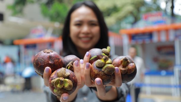 Dengan Dukungan BRI, Klaster Usaha Manggis Bali Sukses Perluas Jaringan Pemasaran