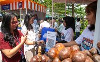 Diberdayakan BRI, Bisnis Klaster Petani Salak Ini Melejit!