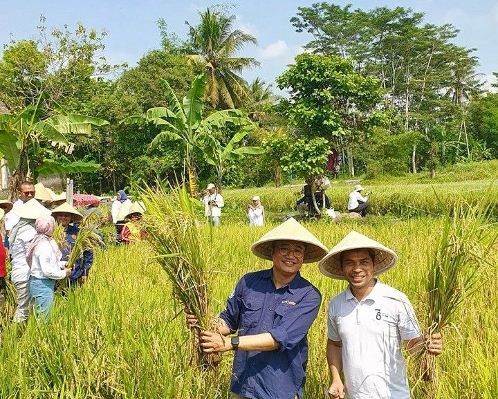 Gamahumat, Inovasi UGM untuk Pembenah Tanah dari Batubara