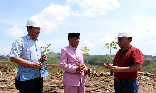 Direktur PT Biomasa Jaya Abadi (BJA) Iskandar, Baate Kecamatan Popayato Rudin Nihali, Direktur PT Bio Masa Jaya Abadi (BJA) Burhanuddin berbincang saat Aksi penanaman tanaman gamal ke-11 juta ini dilaksanakan di Petak K12 di area penanaman milik BTL yang terletak di Kabupaten Pohuwato, Provinsi Gorontalo. Jumat 1 November 2024. Foto : Panji Asmoro/TrenAsia