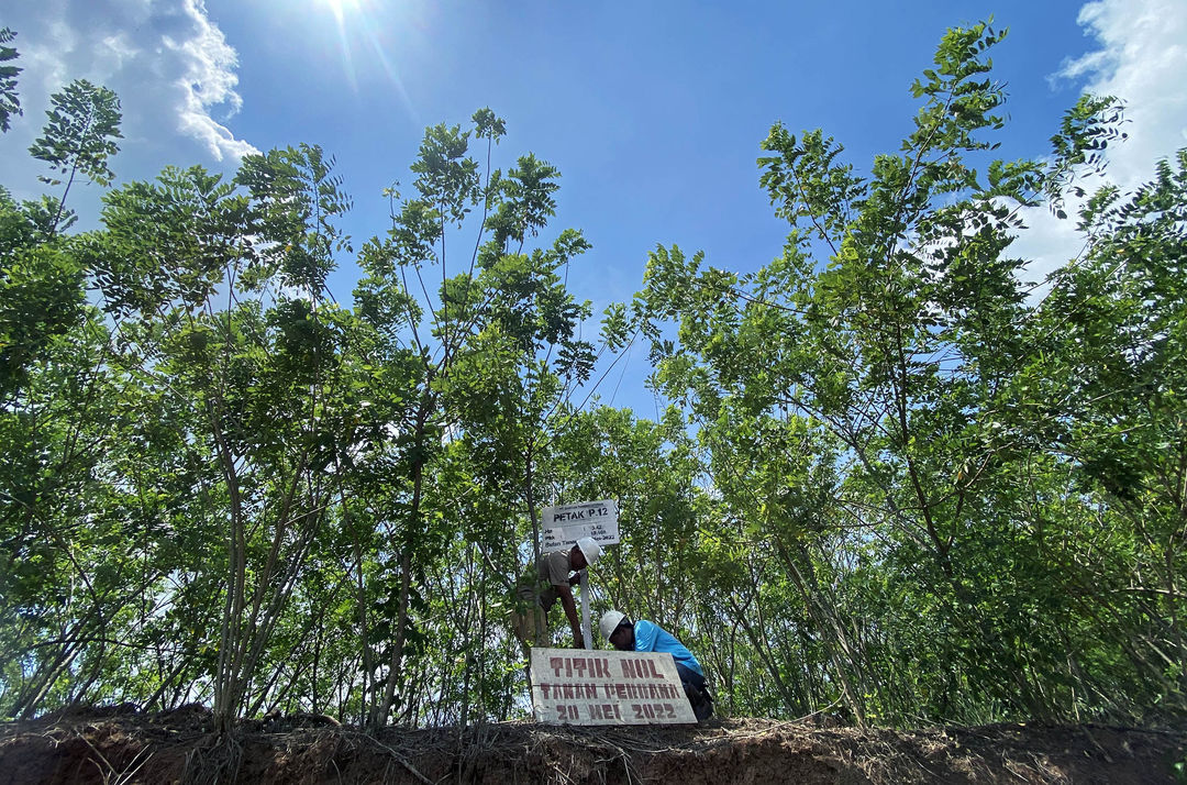 PT Biomasa Jaya Abadi (BJA) Group melaksanakan penanaman 25.500 pohon gamal di area seluas 5 hektare. BTL pertama kali menanam gamal pada 20 Mei 2022 lalu. Hingga hari ini, Jumat (1/11), jumlah pohon gamal yang telah BTL tanam mencapai sekitar 11.014.500 pohon di area seluas ±2.145 hektare. Foto : Panji Asmoro/TrenAsia