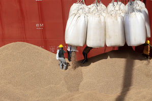 Aktifitas Bongkar Muat BJA - Panji 4.jpg