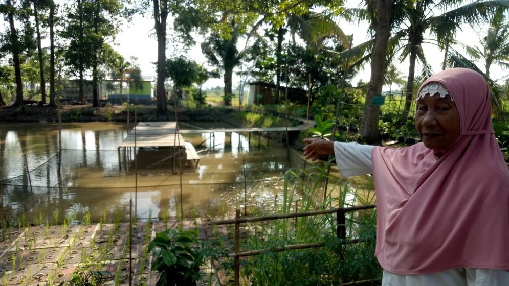 Aisyah (72) bersama kelompok Bina Tani Berkah mengelola demplot mina padi di Dusun III, Desa Sungai Rebo, Kabupaten Banyuasin, Sumatera Selatan, dengan hasil panen yang bertambah hingga 1,5 ton dari sebelumnya