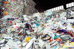 paper-waste-management.jpg